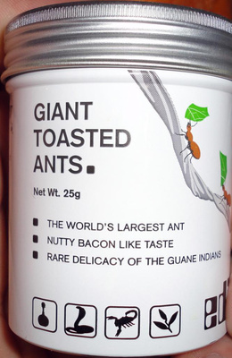 Giant toasted ants