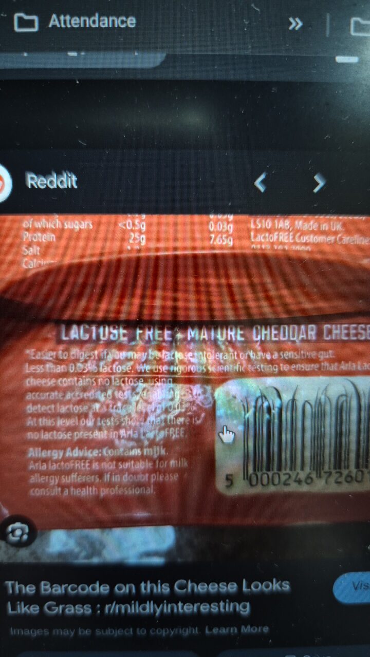 LACTOSE FREE MATURE CHEDDAR CHEESE